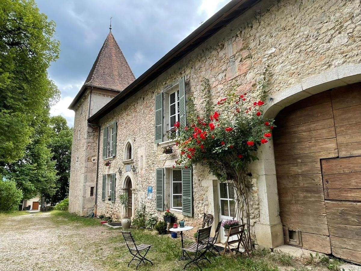 Domaine du Très-Haut - Château de Montanges Esterno foto
