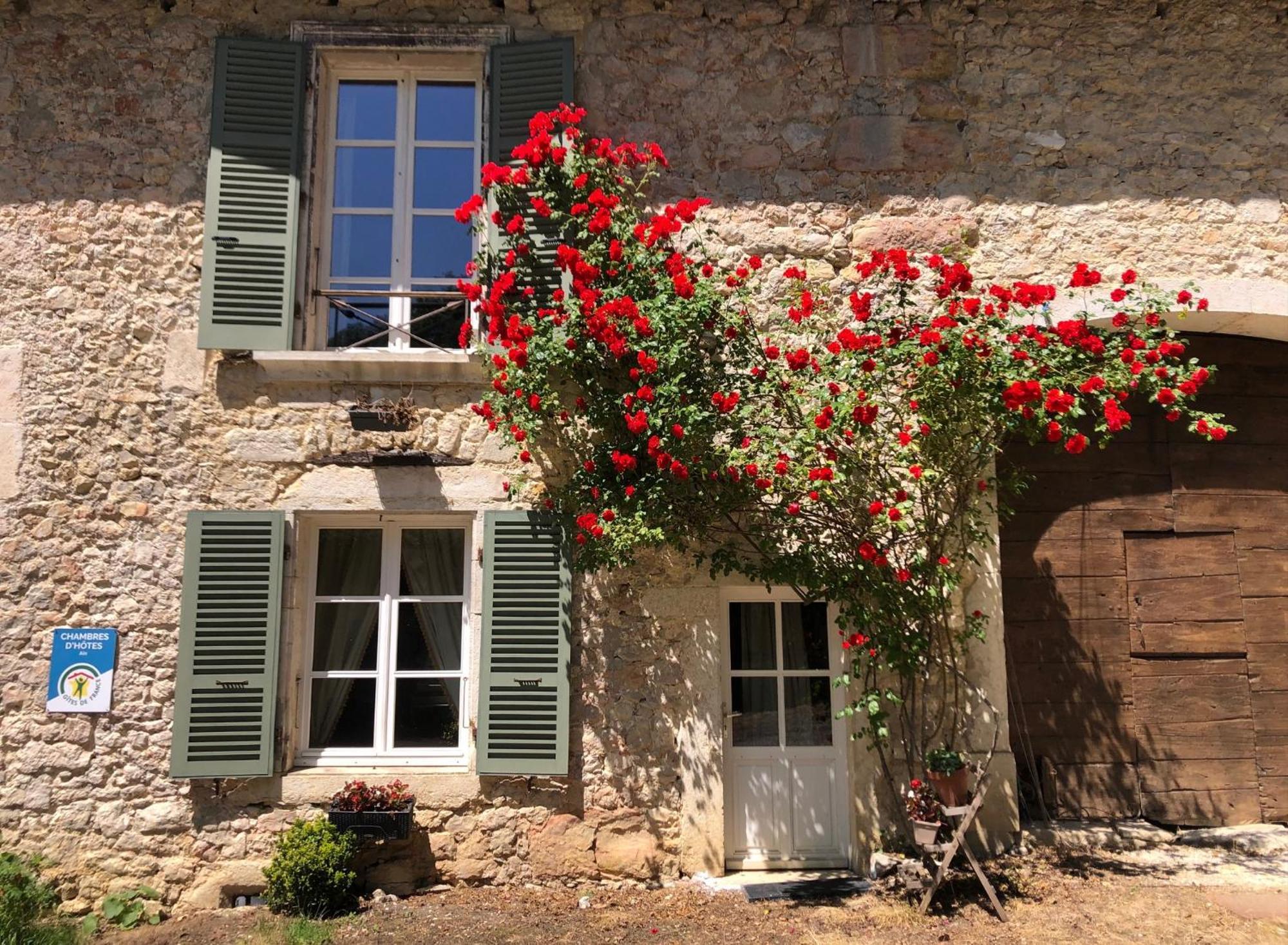 Domaine du Très-Haut - Château de Montanges Esterno foto