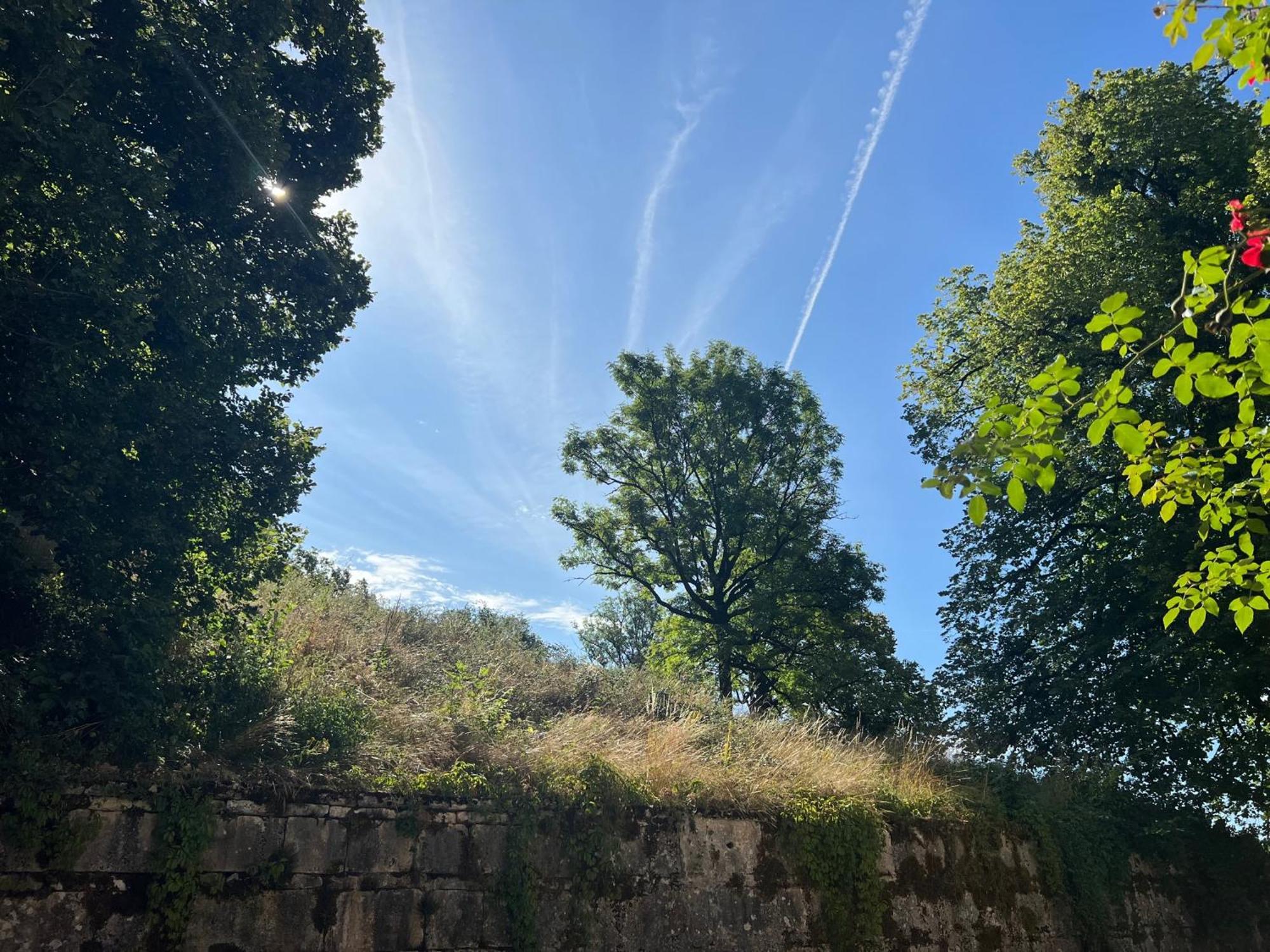 Domaine du Très-Haut - Château de Montanges Esterno foto