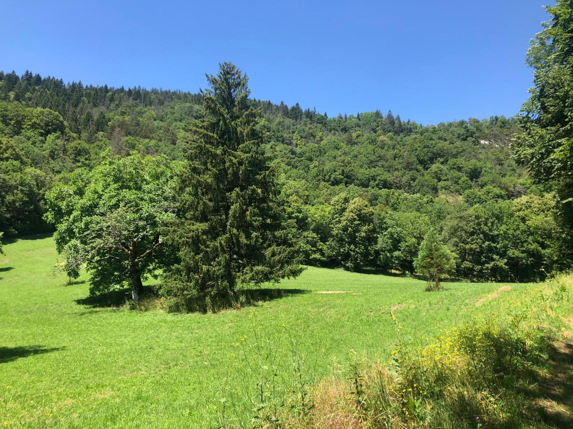 Domaine du Très-Haut - Château de Montanges Esterno foto