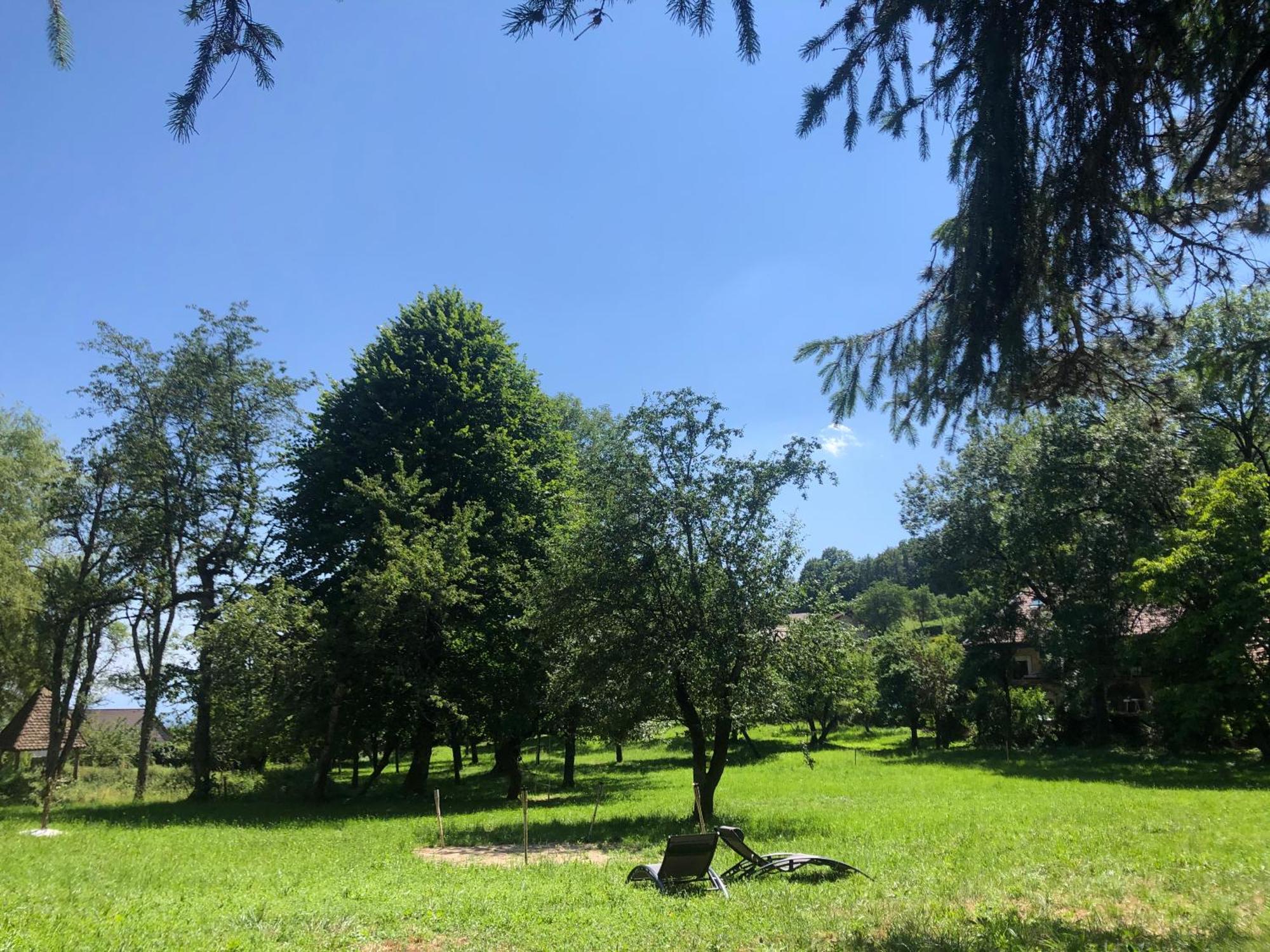 Domaine du Très-Haut - Château de Montanges Esterno foto